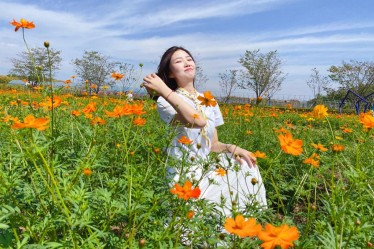 向冉：立志欲堅不欲銳，成功在久不在速